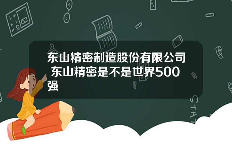 东山精密制造股份有限公司 东山精密是不是世界500强
